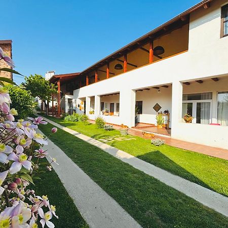Elma Guesthouse Alba Iulia Exteriör bild